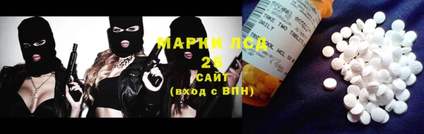 дурь Пестово