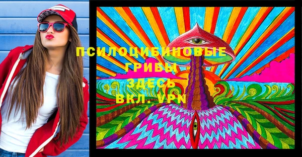 дурь Пестово