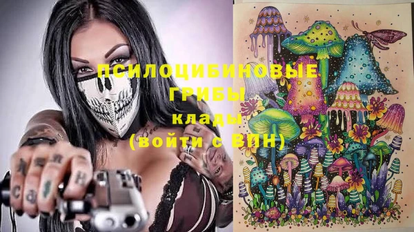 герыч Пересвет